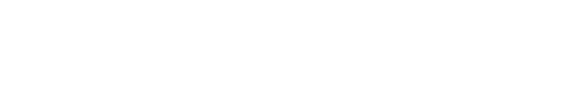 PMT_OL_REV_Flat_Logo_noTag